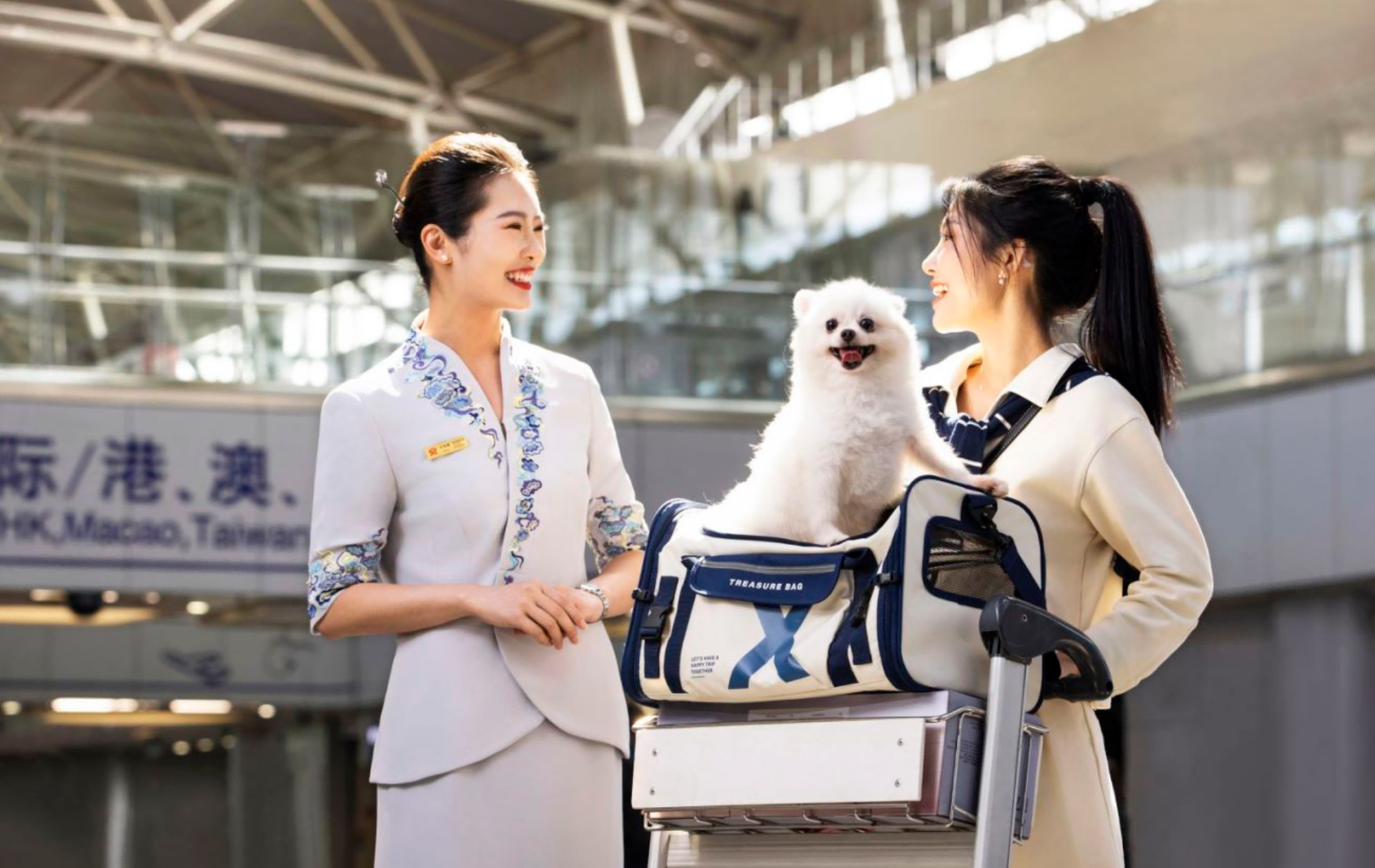 “一人两宠”全新上线！海南航空宠物客舱关
