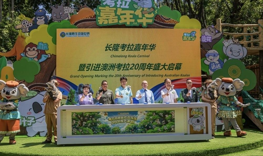 从6只到八代同堂！长隆20年培育出澳大利