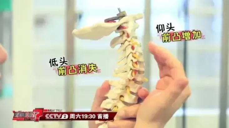 原来睡觉需要两个枕头？这么多年我们都睡错