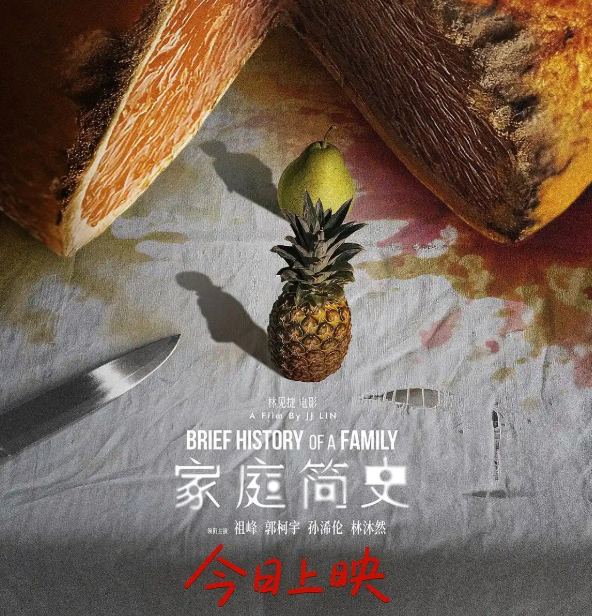 第四届海影节创投 | 悬疑电影《家庭简史》今日上映